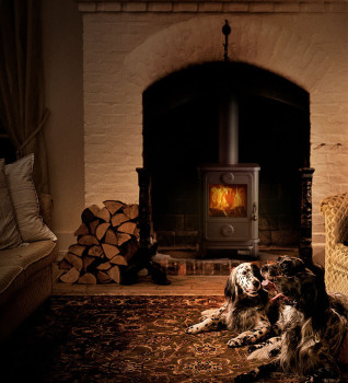 Morso 1010 Wood Burning And Multifuel Ecodesign Stove